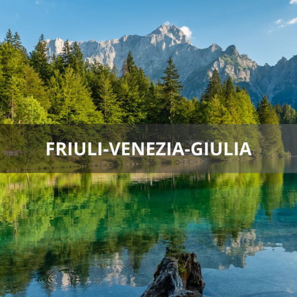 Friuli Storia Geografia e Radici